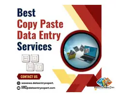 Best Copy Paste Data Entry Services at Affordable Prices
