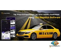 Top Reasons Why Taxi Entrepreneurs Choose Smart Taxi Dispatch Software!