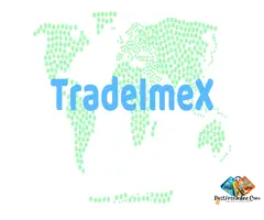 Access Global Trade Data to Boost Your Import Business