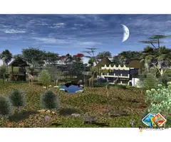 Zoo Architecture Design and Consultants Services