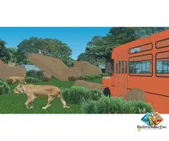 Zoo Architecture Design and Consultants Services