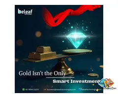 Your Next Brilliant Investment Might Not Be Gold
