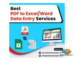 Best PDF to Word/Excel Data Entry Services in India
