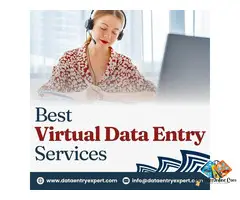 Best Virtual Assistant Data Entry Services in India