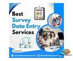 Best Survey and Questionnaire Data Entry Services in India