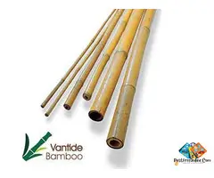 Bamboo Canes - Vantidebamboo