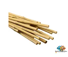 Bamboo Canes - Vantidebamboo