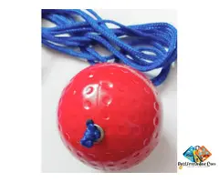 Cricket Hard Knocking – Practice and Han***g Ball