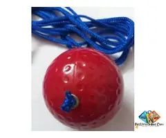 Cricket Hard Knocking – Practice and Han***g Ball