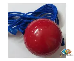 Cricket Hard Knocking – Practice and Han***g Ball