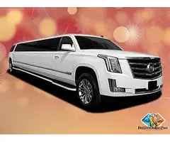 Best Party Bus Rental Nyc Staten Island 