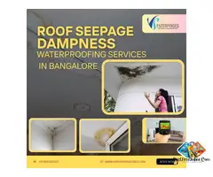 Roof Seapage Dampness Waterproofing Services