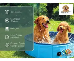 Dog Boarding Noida – Safe & Comfortable Stays at Pet Me Maa