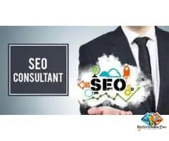 Seo services in spain
