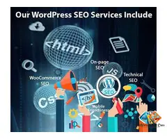 Affordable WordPress SEO