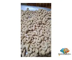 W180 CASHEW NUTS DISTRIBUTOR SUPPLIER IN KALKATA 24 PARGANAS