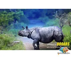 Dooars Tour with Jaldapara Elephant Safari – Discover Forest Trails, Rivers, and Rare One-Horned Rhi