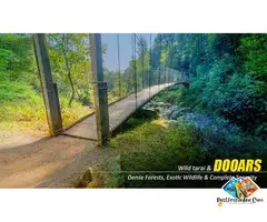 Dooars Tour with Jaldapara Elephant Safari – Discover Forest Trails, Rivers, and Rare One-Horned Rhi