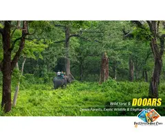 Dooars Tour with Jaldapara Elephant Safari – Discover Forest Trails, Rivers, and Rare One-Horned Rhi