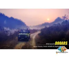 Dooars Tour Package from Kolkata: Explore Forests, Rivers & Tea Gardens