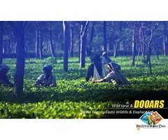 Dooars Tour Package from Kolkata: Explore Forests, Rivers & Tea Gardens