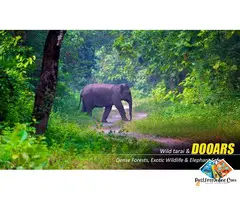 Dooars Tour Package from Kolkata: Explore Forests, Rivers & Tea Gardens