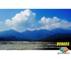 Dooars Tour Package from Kolkata: Explore Forests, Rivers & Tea Gardens