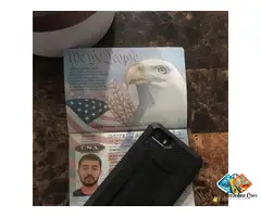 visas, biometric passport, Training certificates Diploma