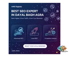 Best SEO Expert in Dayal Bagh Agra