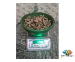 Mumbai Bandra cashew wholesaler in Maharashtra