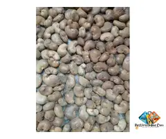 Mumbai Bandra cashew wholesaler in Maharashtra