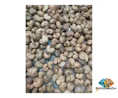 Mumbai Bandra cashew wholesaler in Maharashtra