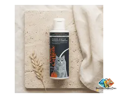 Probiotic Cats Sensitive Skin 2-in-1 Shampoo Conditioner | Doctor Catlittle