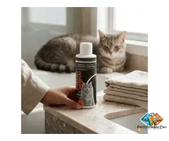 Probiotic Cats Sensitive Skin 2-in-1 Shampoo Conditioner | Doctor Catlittle