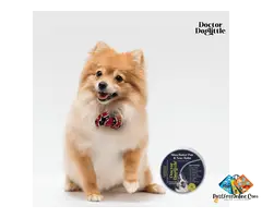 Probiotic Dogs Shea Butter Paw & Nose Balm | Doctor Doglittle