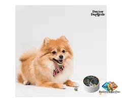 Probiotic Dogs Goat Milk Paw and Nose Balm | Doctor Doglittle