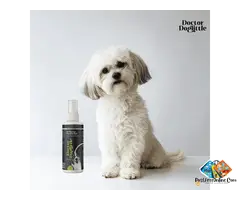 Probiotic Dogs Dry Shampoo | DoctorDoglittle