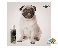 Probiotic Dogs Sensitive Skin 2-in-1 Shampoo Conditioner | Doctor Doglittle