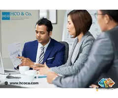 Trusted Audit and Assurance Services for Reliable Financial Transparency