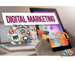 Leading Digital Marketing Agency in Delhi/NCR