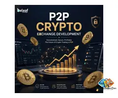 Which P2P Crypto Platform Feels the Safest to Use Right Now?