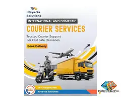 DTDC Courier service in Rohtak