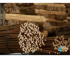 Bamboo Canes Supplier - Vantidebamboo