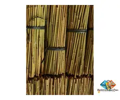 Bamboo Canes Supplier - Vantidebamboo