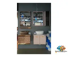 Sara Traders - Tiles Shop in Lucknow