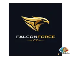 SEO Service In Ludhiana - Falcon Force