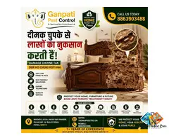 Ganpati Pest Control – Best Pest Control Services in Patna