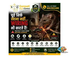 Ganpati Pest Control – Best Pest Control Services in Patna