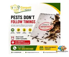 Ganpati Pest Control – Best Pest Control Services in Patna