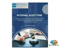 Expert Internal Audit Firm for Business Performance Growth